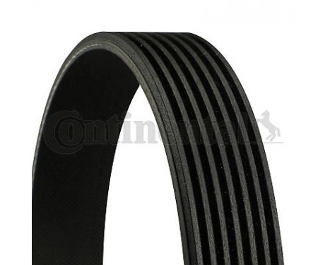 V-Ribbed Belts 7PK1035 Contitech, Image 2