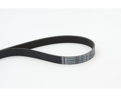V-Ribbed Belts 7PK1104 Contitech, Image 2
