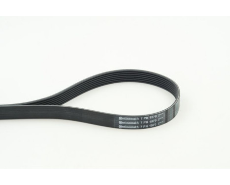 V-Ribbed Belts 7PK1570 Contitech, Image 2