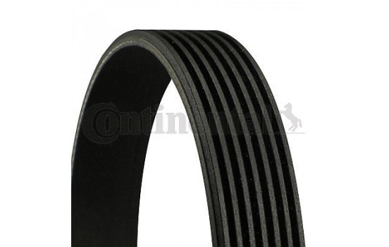 V-Ribbed Belts 7PK1593 Contitech