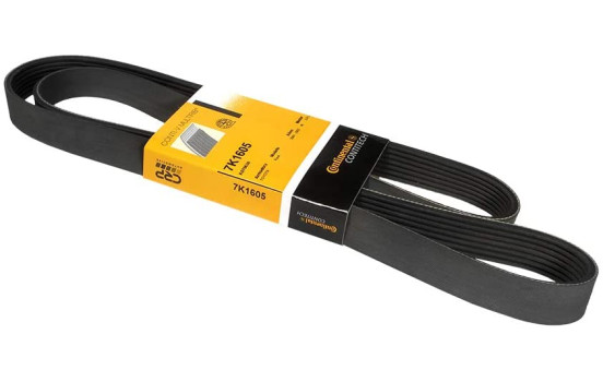 V-Ribbed Belts 7PK1605 Contitech