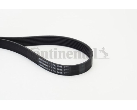 V-Ribbed Belts 7PK1605 Contitech, Image 2