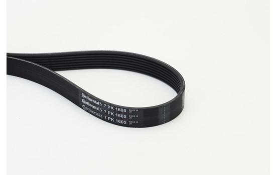 V-Ribbed Belts 7PK1605 Contitech, Image 2