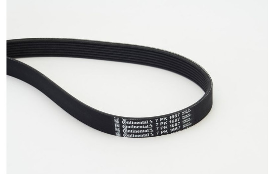 V-Ribbed Belts 7PK1687 Contitech, Image 2