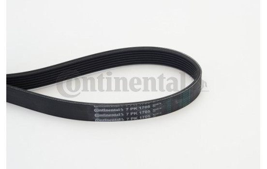 V-Ribbed Belts 7PK1705 Contitech
