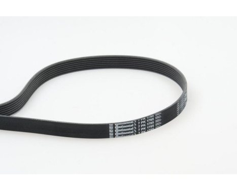 V-Ribbed Belts 7PK1795 Contitech, Image 2