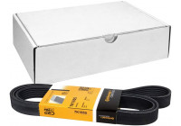 V-Ribbed Belts 7PK1855 Contitech