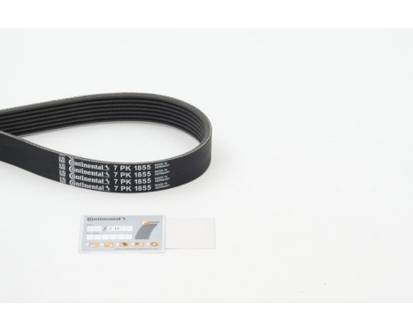 V-Ribbed Belts 7PK1855 Contitech, Image 2