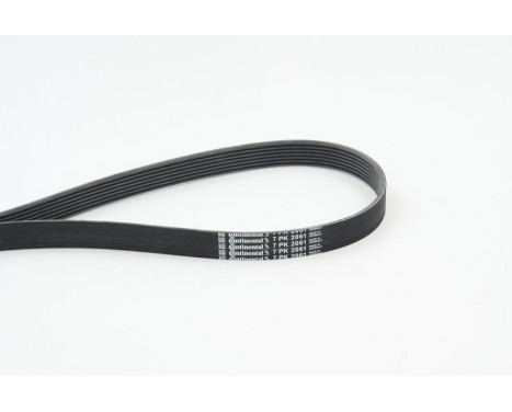 V-Ribbed Belts 7PK2061 Contitech, Image 2