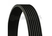 V-Ribbed Belts 7PK2265 Contitech
