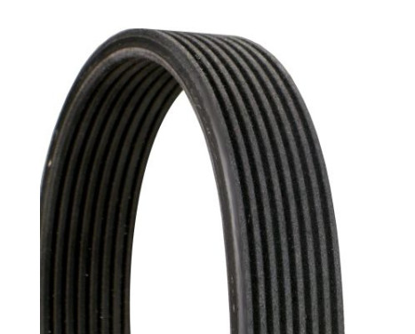 V-Ribbed Belts 8DPK1827 Contitech