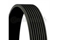 V-Ribbed Belts 8PK 1395 Contitech