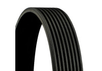 V-Ribbed Belts 8PK1371 Contitech