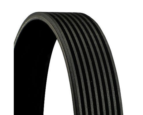 V-Ribbed Belts 8PK2050 Contitech, Image 2
