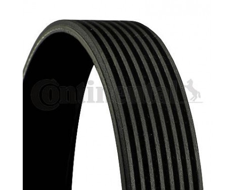 V-Ribbed Belts 8PK2092 Contitech, Image 2