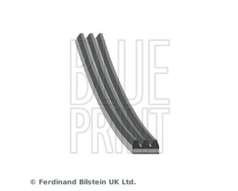 V-Ribbed Belts AD03R630 Blue Print, Image 2