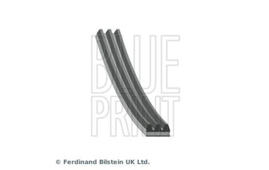 V-Ribbed Belts AD03R848 Blue Print, Image 2