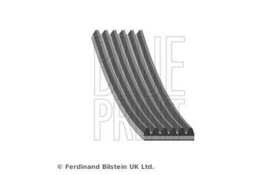 V-Ribbed Belts AD06R970 Blue Print, Image 2