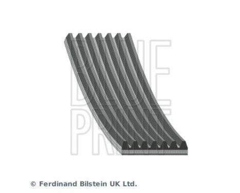 V-Ribbed Belts AD07R1810 Blue Print, Image 2