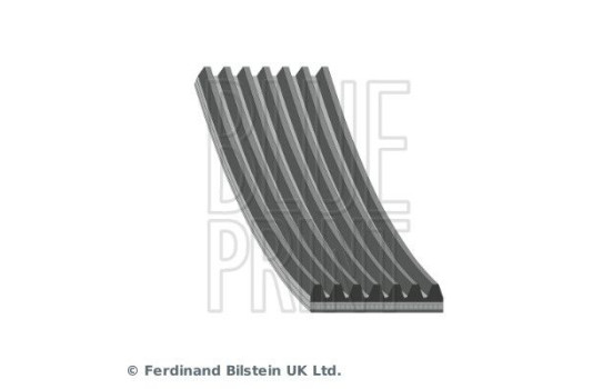 V-Ribbed Belts AD07R2035 Blue Print, Image 2