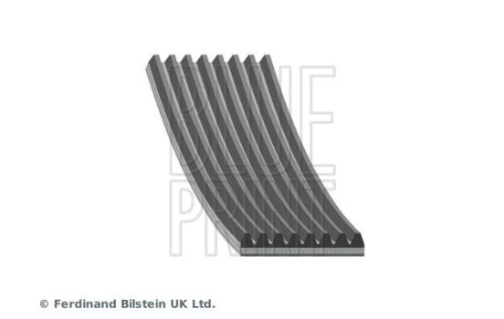 V-Ribbed Belts AD08R1173 Blue Print, Image 2