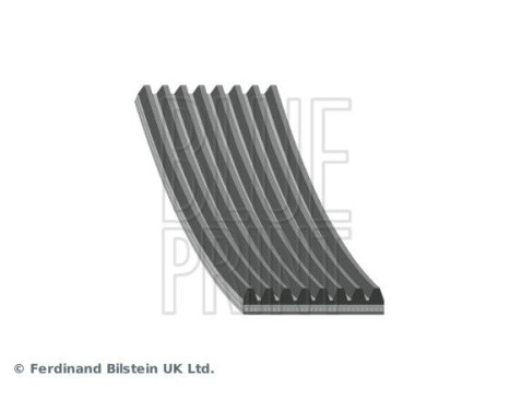 V-Ribbed Belts AD08R2512 Blue Print, Image 2