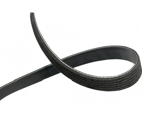 V-Ribbed Belts DMV-1004 Kavo parts, Image 2