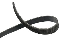 V-Ribbed Belts DMV-1006 Kavo parts