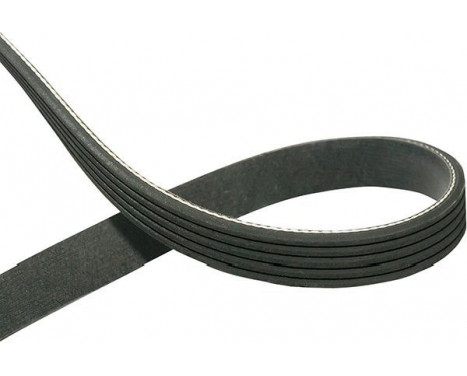 V-Ribbed Belts DMV-1007 Kavo parts, Image 2