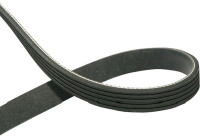 V-Ribbed Belts DMV-4504 Kavo parts