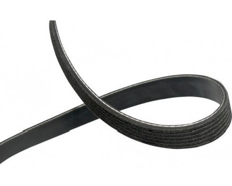 V-Ribbed Belts DMV-4550 Kavo parts, Image 2