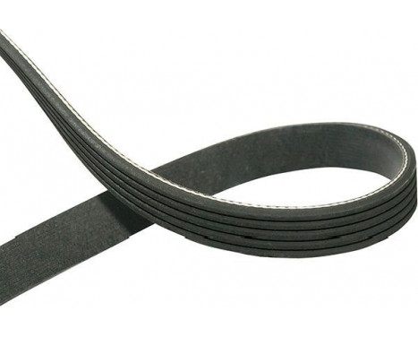 V-Ribbed Belts DMV-4551 Kavo parts, Image 2