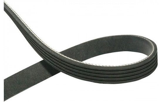 V-Ribbed Belts DMV-5551 Kavo parts