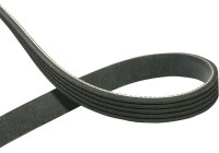 V-Ribbed Belts DMV-5552 Kavo parts