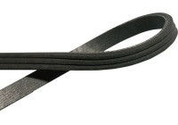 V-Ribbed Belts DMV-6502 Kavo parts