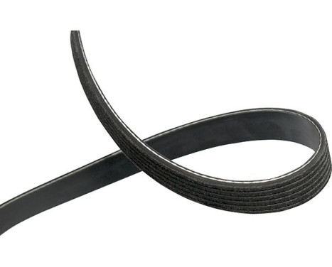 V-Ribbed Belts DMV-8012 Kavo parts
