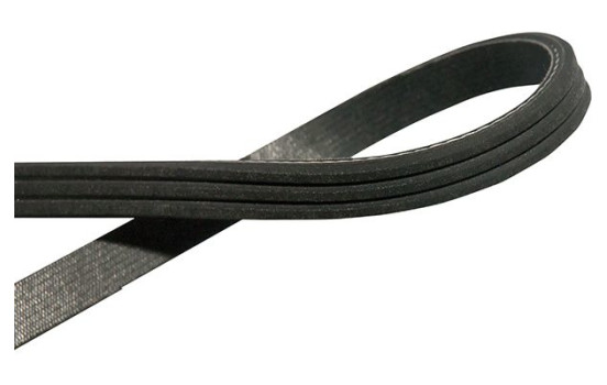 V-Ribbed Belts DMV-9058 Kavo parts