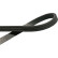 V-Ribbed Belts DMV-9062 Kavo parts, Thumbnail 2