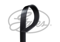 V-Ribbed Belts FleetRunner? Micro-V® 8PK2143HD Gates