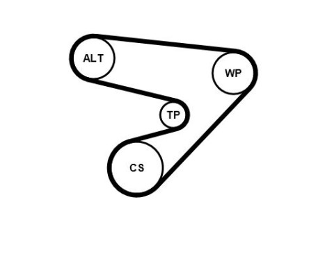 Water pump + Multi V-belt set 5PK1230WP2 Contitech, Image 3