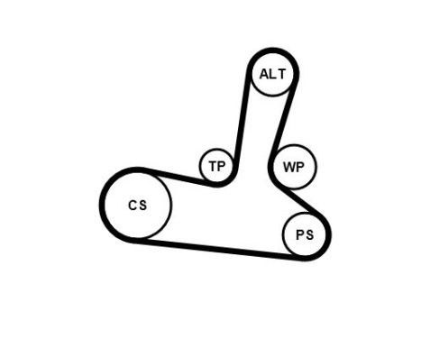 Water pump + Multi V-belt set 5PK1300WP1 Contitech, Image 2