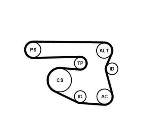 Water pump + Multi V-belt set 6PK1870WP1 Contitech, Image 3