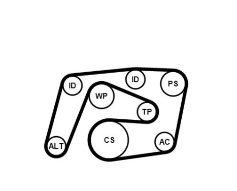 Water pump + Multi V-belt set 6PK2260WP2 Contitech, Image 2