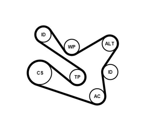 Water pump + Multi V-belt set 7PK1570WP1 Contitech