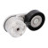 Belt tensioner, Poly V-belt