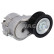 Belt tensioner, Poly V-belt