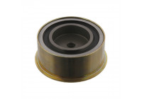 Deflection/Guide Pulley, timing belt 03879 FEBI