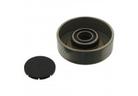 Deflection/Guide Pulley, v-ribbed belt 04132 FEBI