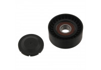 Deflection/Guide Pulley, v-ribbed belt 30923 FEBI