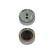 Deflection/Guide Pulley, v-ribbed belt DIP-8508 Kavo parts